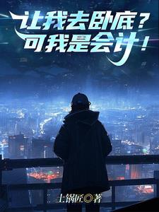 让我去卧底?可我是会计!